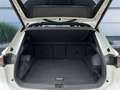 Volkswagen Tiguan R-Line 2.0 TDI DSG 4Motion, AHK, Navi Wit - thumbnail 8