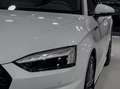 Audi A5 Sportback 40 2.0 tdi mhev S line edition 204cv s-t Bianco - thumbnail 14