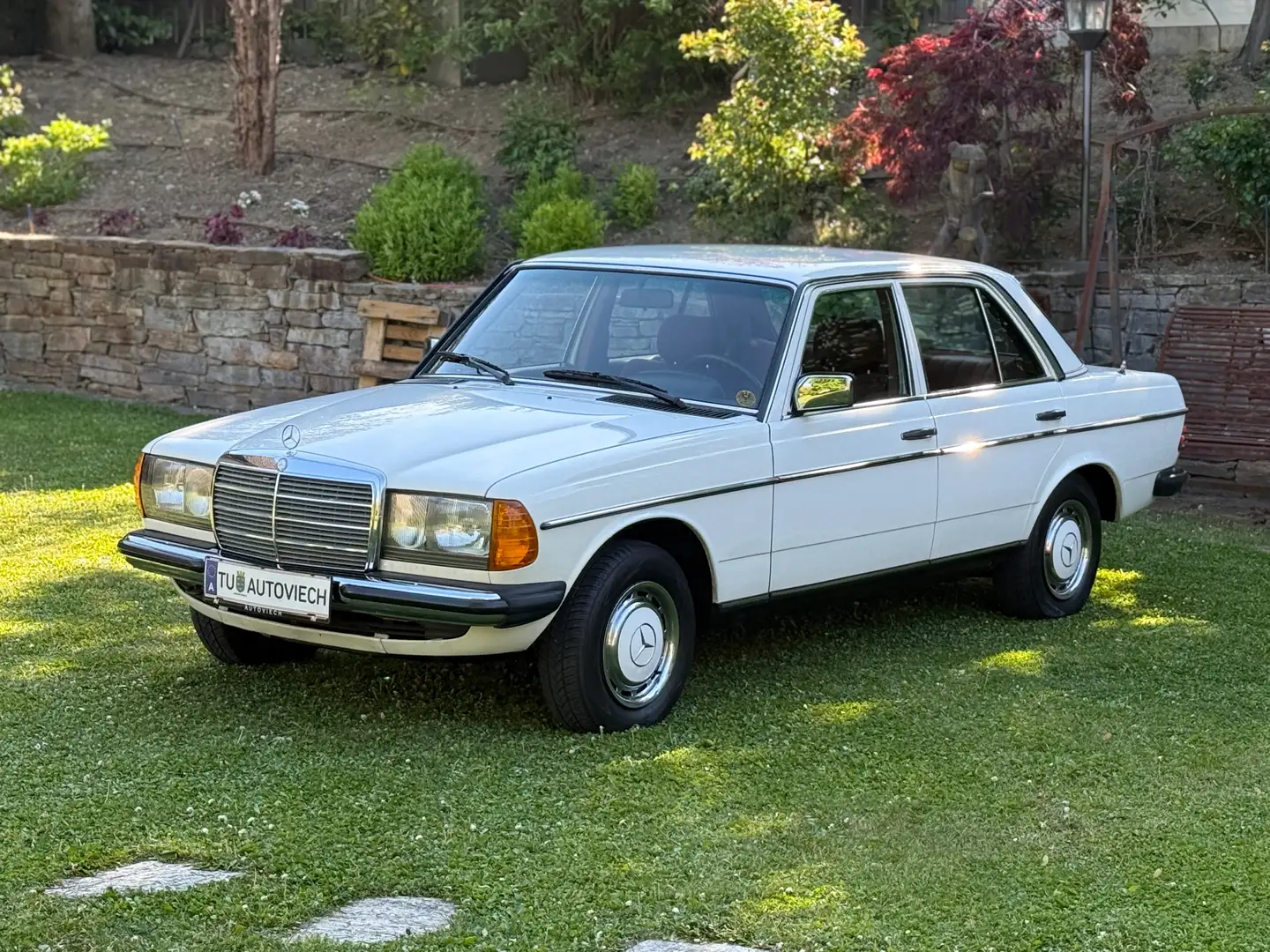 Mercedes-Benz Sonstige 200D*Auflösung private Sammlung* Weiß - 1
