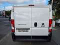 Fiat Ducato 2.3 L1H1 Klima Euro 6 Weiß - thumbnail 8