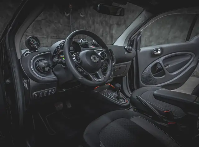 smart Fortwo view 12