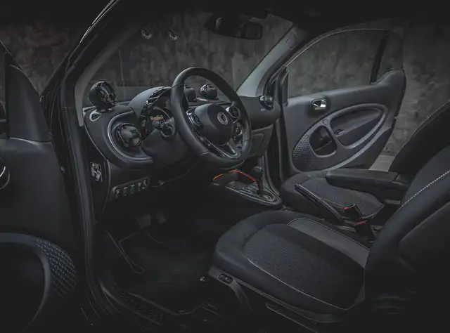 smart Fortwo view 13