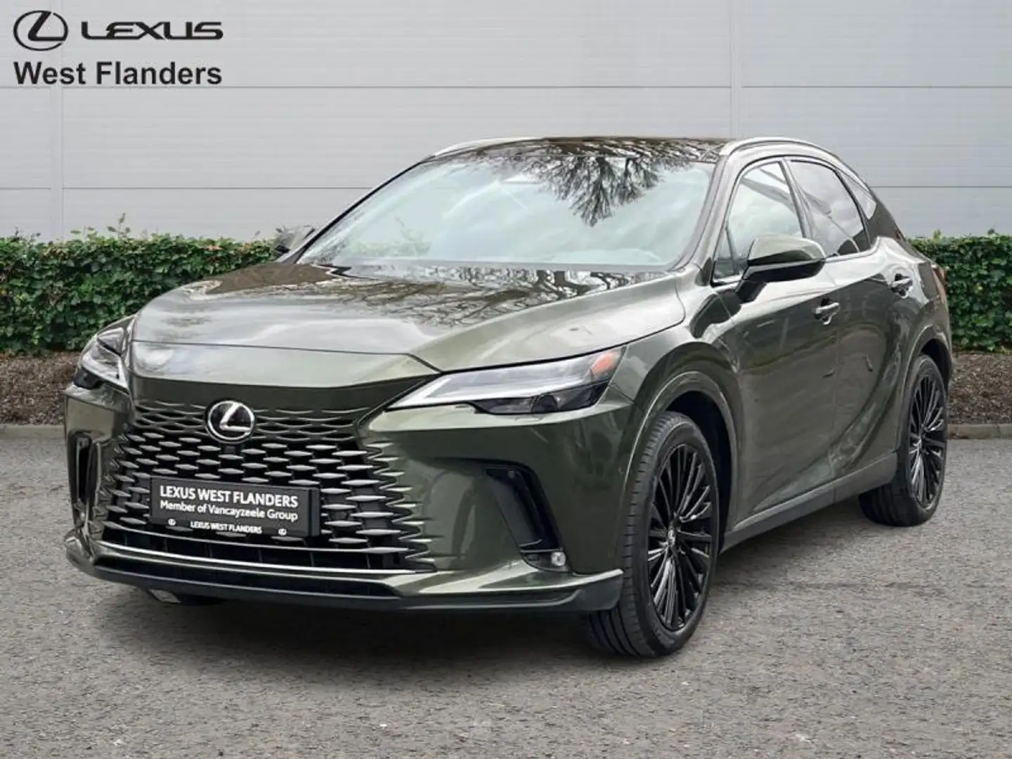 Lexus RX 450h Privilege Line + 360° camera+s Vert - 1