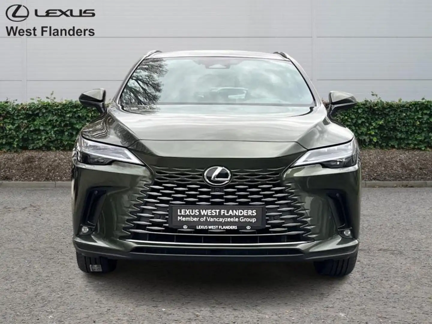 Lexus RX 450h Privilege Line + 360° camera+s Vert - 2