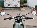 Triumph Street Scrambler Street Scrambler 900 CHROME EDITION RATE AUTO MOTO Verde - thumbnail 7