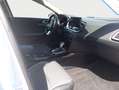 Kia XCeed 1.6 GDI DCT6 OPF Plug-in-Hybrid Vision Bianco - thumbnail 10
