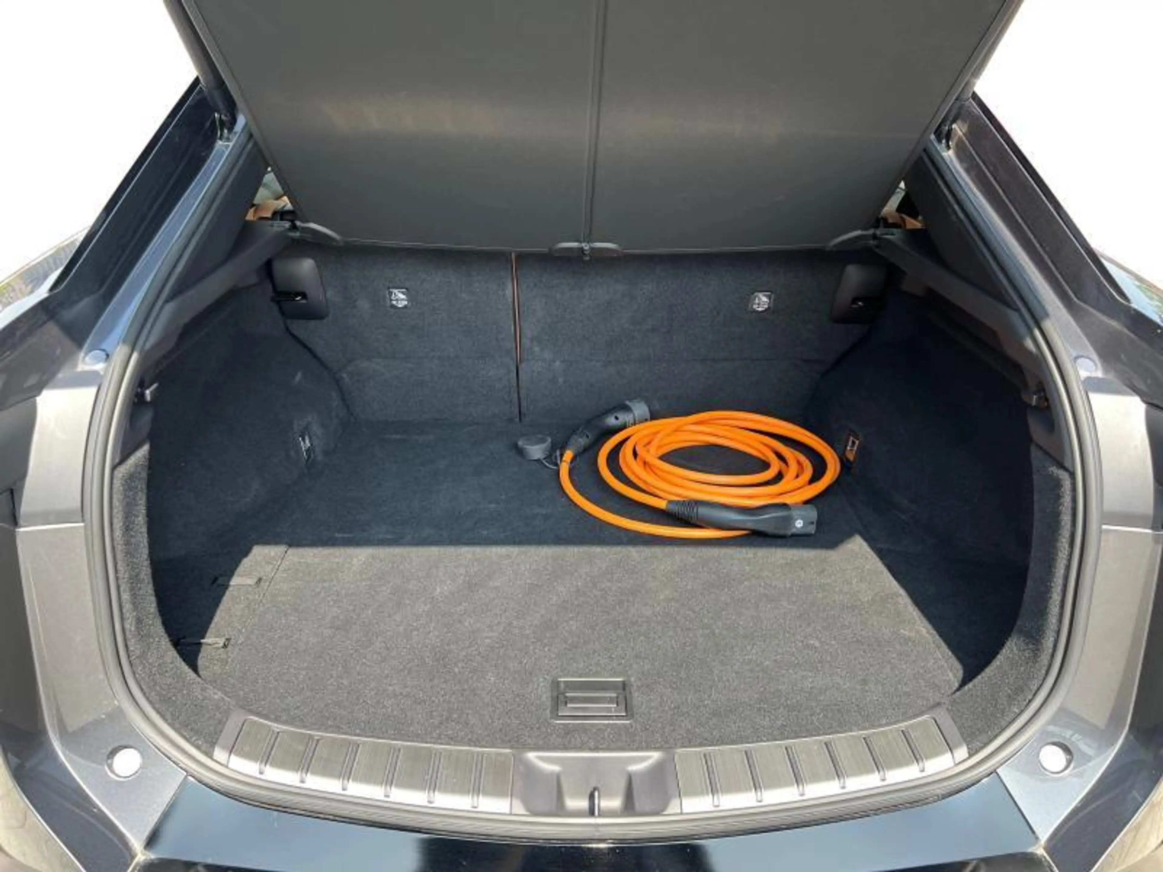 Lexus RZ Privilege Line AWD — photo 11