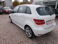 Mercedes-Benz B 180 autom.  Alu mit neuen Allwetterreifen Weiß - thumbnail 4