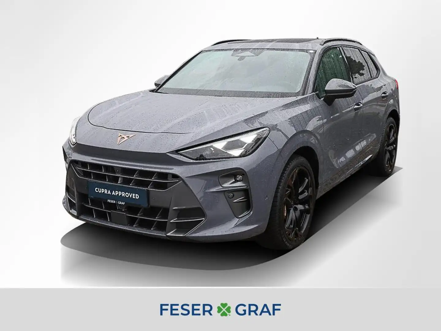 CUPRA Terramar 2.0 TSI 4Dr. VZ 360° ACC Matrix Pano Grau - 1