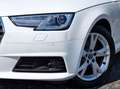 Audi A4 AVANT*NAVI*BI-XENON*ACC*VZE*SZ*PDC*S-HEFT*MWST Weiß - thumbnail 10