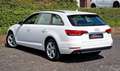 Audi A4 AVANT*NAVI*BI-XENON*ACC*VZE*SZ*PDC*S-HEFT*MWST Weiß - thumbnail 2