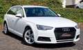 Audi A4 AVANT*NAVI*BI-XENON*ACC*VZE*SZ*PDC*S-HEFT*MWST Weiß - thumbnail 1