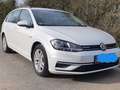 Volkswagen Golf Variant Golf Variant 1.4 TGI BlueMotion 7 Gang DSG Fehér - thumbnail 1