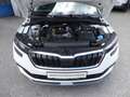 Skoda Kamiq 1,0 TSI Business Weiß - thumbnail 10
