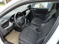 Skoda Kamiq 1,0 TSI Business Weiß - thumbnail 13