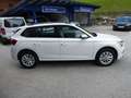 Skoda Kamiq 1,0 TSI Business Weiß - thumbnail 4