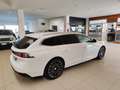 Peugeot 508 BlueHDi 160cv EAT8 SW Allure Navi Blis Cerchi 18” Weiß - thumbnail 7