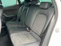 SEAT Ibiza FR Austria 1.0 TSI Weiß - thumbnail 20
