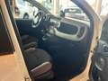 Fiat Panda Panda III 2021 4x4 0.9 t.air t. Wild 4x4 s Bianco - thumbnail 12