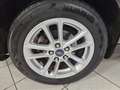 Ford Focus Focus IV SW 1.5 tdci ST-Line s - thumbnail 7