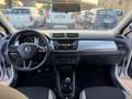 Skoda Fabia 1.0 MPI 60 CV OK NEOPATENTATI Grigio - thumbnail 10