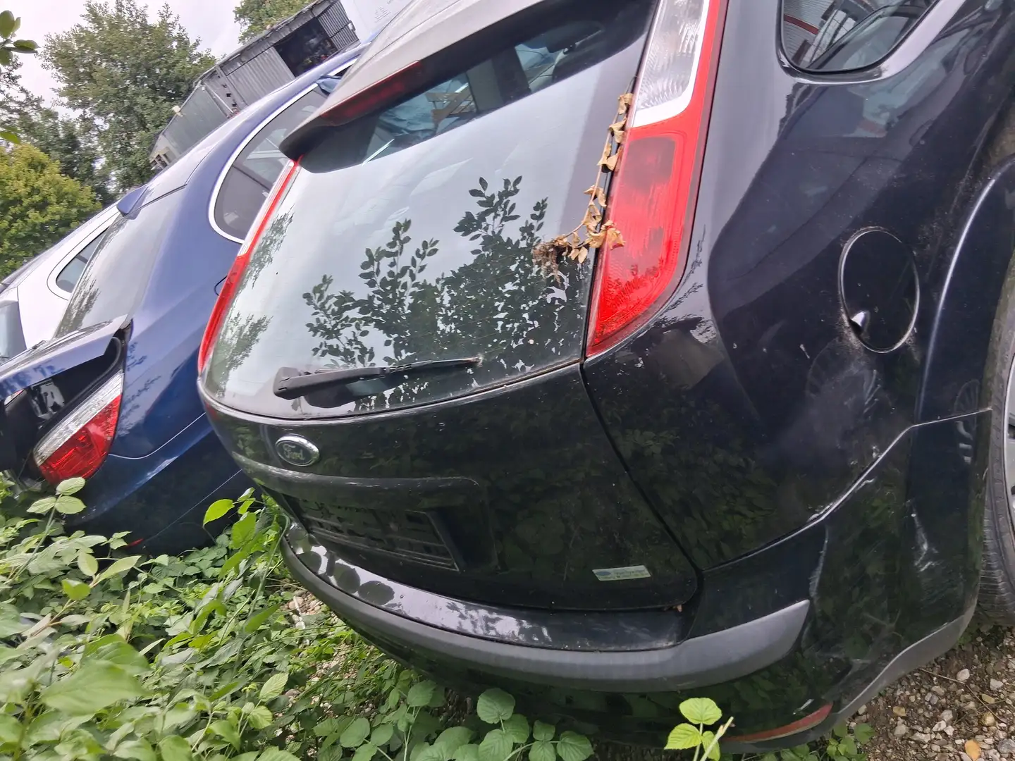 Ford Focus Focus Fließheck  3-Türer 1.6 16V Aut. Trend Schwarz - 2