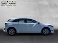 Kia Ceed / cee'd VISION 1.5 T-GDI DCT *KOMFORT-PLUS-PAKET*NAVIGATIO Weiß - thumbnail 6