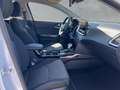 Kia Ceed / cee'd VISION 1.5 T-GDI DCT *KOMFORT-PLUS-PAKET*NAVIGATIO Weiß - thumbnail 15