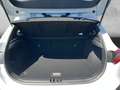 Kia Ceed / cee'd VISION 1.5 T-GDI DCT *KOMFORT-PLUS-PAKET*NAVIGATIO Weiß - thumbnail 9