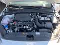 Kia Ceed / cee'd VISION 1.5 T-GDI DCT *KOMFORT-PLUS-PAKET*NAVIGATIO Weiß - thumbnail 10