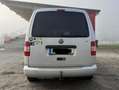 Volkswagen Caddy Caddy Life Family 1,9 TDI D-PF Family Silber - thumbnail 2