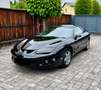 Pontiac Firebird 3.8 v6 ,Targa, US-Model Schwarz - thumbnail 13