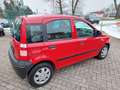 Fiat Panda 1.1 8V Active Rot - thumbnail 7