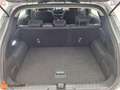 Ford Puma 1.0 EcoBoost Titanium Aut. 125 Gris - thumbnail 10
