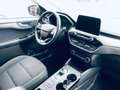 Ford Kuga 1.5 EcoBlue 120 CV aut. 2WD Titanium Business Blanco - thumbnail 6