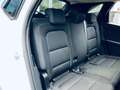 Ford Kuga 1.5 EcoBlue 120 CV aut. 2WD Titanium Business Blanco - thumbnail 10
