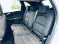 Ford Kuga 1.5 EcoBlue 120 CV aut. 2WD Titanium Business Blanco - thumbnail 8