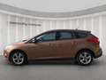 Ford Focus Lim. Sync Edition*PDC*Klima*Sportsitze Bruin - thumbnail 3