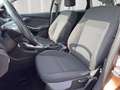 Ford Focus Lim. Sync Edition*PDC*Klima*Sportsitze Bruin - thumbnail 12