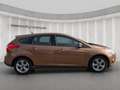 Ford Focus Lim. Sync Edition*PDC*Klima*Sportsitze Bruin - thumbnail 7
