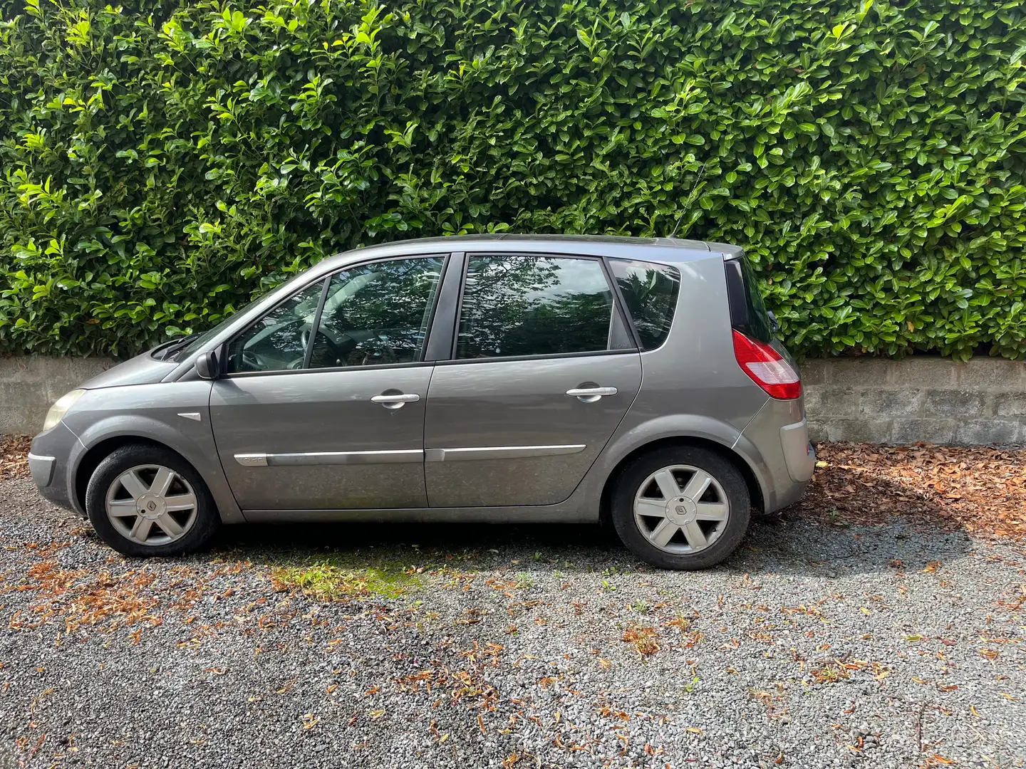 Renault Scenic Scenic 1.5 dCi Emotion Сірий - 1