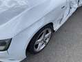 Audi A4 A4 Avant 2.0 TDI 150 S Line Weiß - thumbnail 15