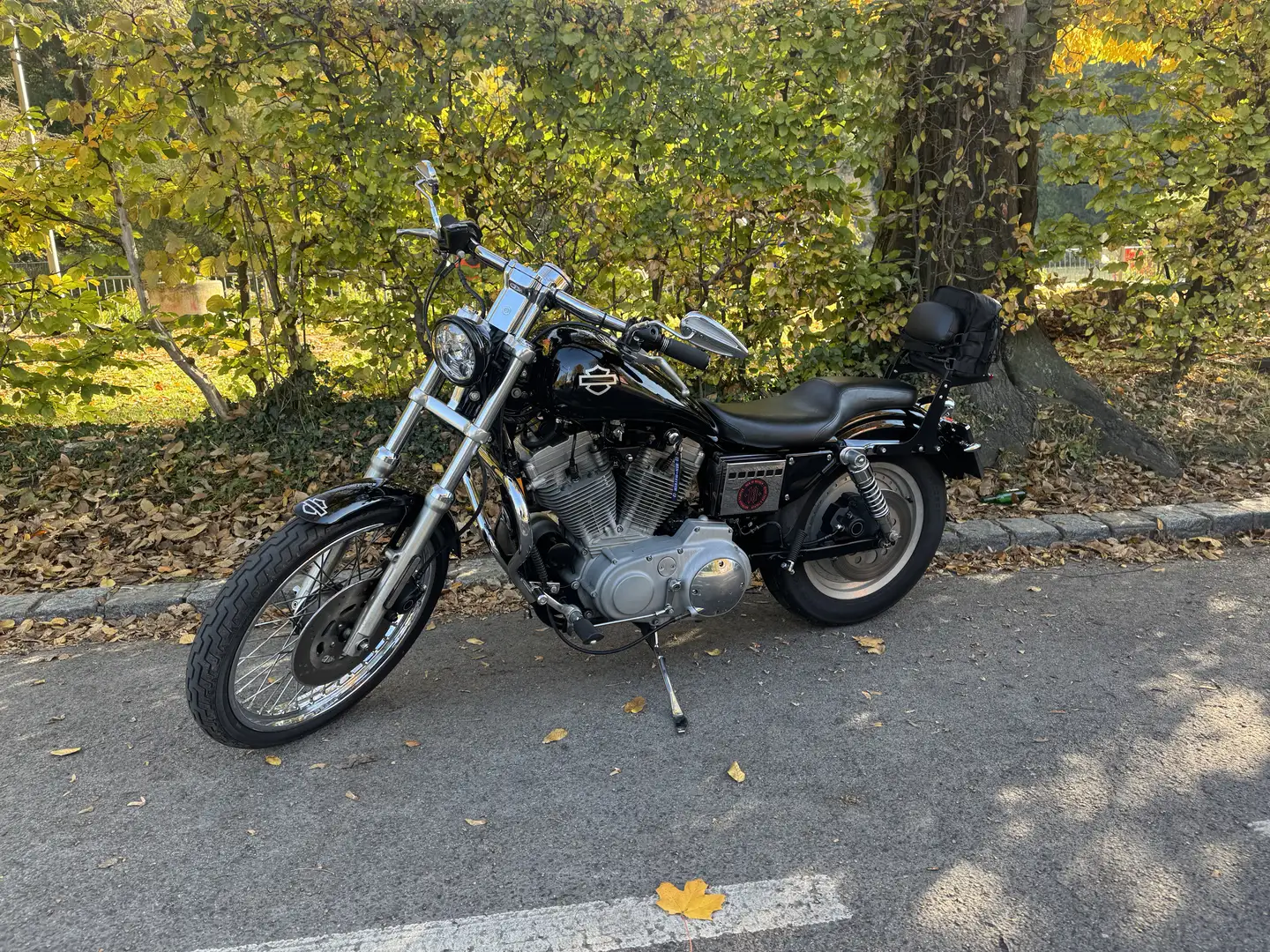 Harley-Davidson Sportster 883 C EVO Schwarz - 2