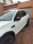 Land Rover Discovery Discovery Td4 Blanc - thumbnail 5