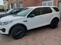 Land Rover Discovery Discovery Td4 Blanc - thumbnail 15