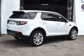 Land Rover Discovery Sport 2.0TD4 HSE 4x4 Aut. 180 Blanc - thumbnail 6