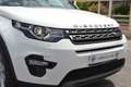 Land Rover Discovery Sport 2.0TD4 HSE 4x4 Aut. 180 Blanc - thumbnail 42