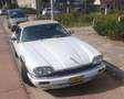 Jaguar XJS 4.0 Convertible Blanc - thumbnail 9