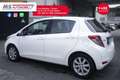 Toyota Yaris Toyota Yaris 1.0 5 porte 51KW ANNO 2011 Wit - thumbnail 13