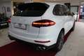 Porsche Cayenne S Diesel Platinum Edition PDLS*PASM Bianco - thumbnail 8